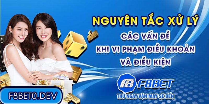 Nguyên tắc xử lý các vấn đề khi vi phạm điều khoản và điều kiện